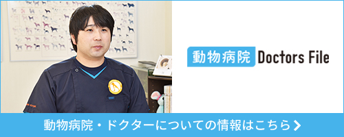動物病院ドクターズ・ファイル